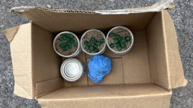Community Alert: Contaminated Pet Food Discovered in Dryden Area