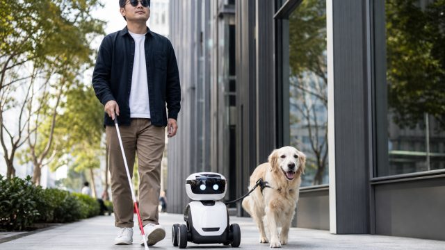 Revolutionizing Mobility: Can Robots Replace Guide Dogs?