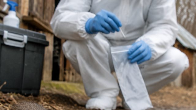 Hantavirus Response Concludes Amid Ongoing Public Health Concerns